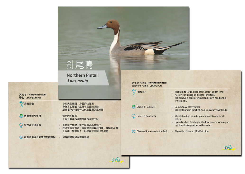 導賞用動植物圖冊