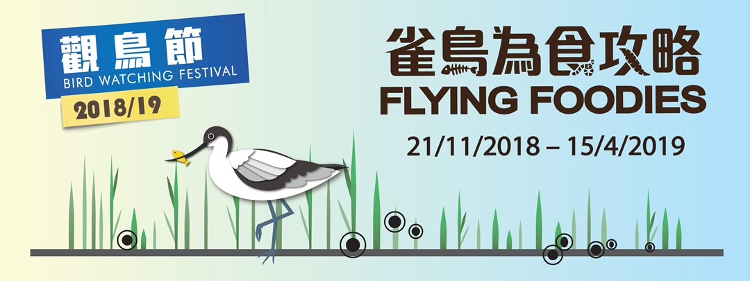 觀鳥節 2018/19 觀鳥節 2018/19