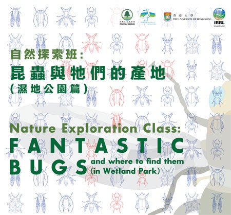 自然探索班─昆蟲與牠們的產地(濕地公園篇)