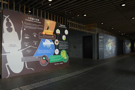 「蟲」新認識 專題展覽