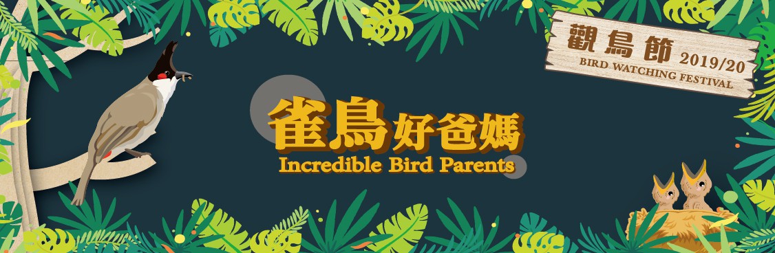 觀鳥節 2019/20 觀鳥節 2019/20