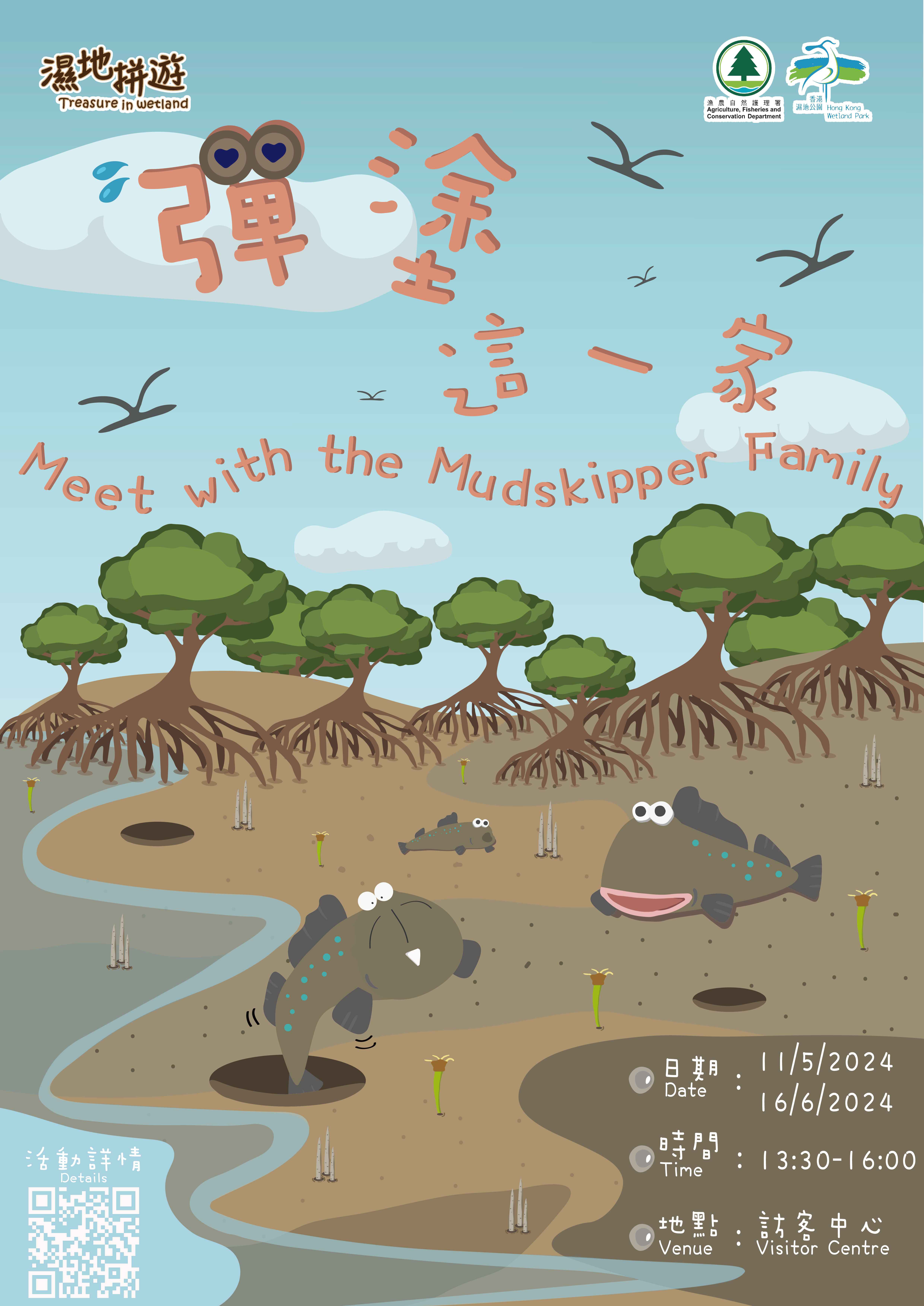 Treasure in Wetland – Meet with the Mudskipper Family