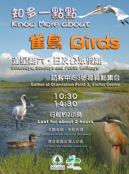 「知多一點點-雀鳥」導賞團 「知多一點點-雀鳥」導賞團