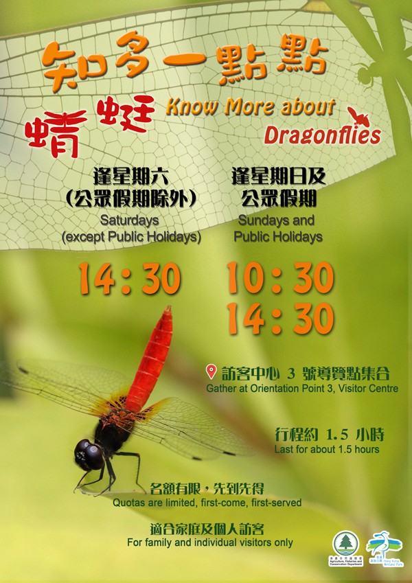 「知多一點點-蜻蜓」導賞團 「知多一點點-蜻蜓」導賞團