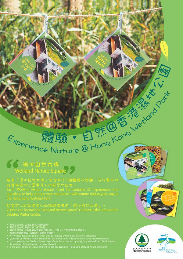 體驗.自然 @ 香港濕地公園 “濕地自然方塊”