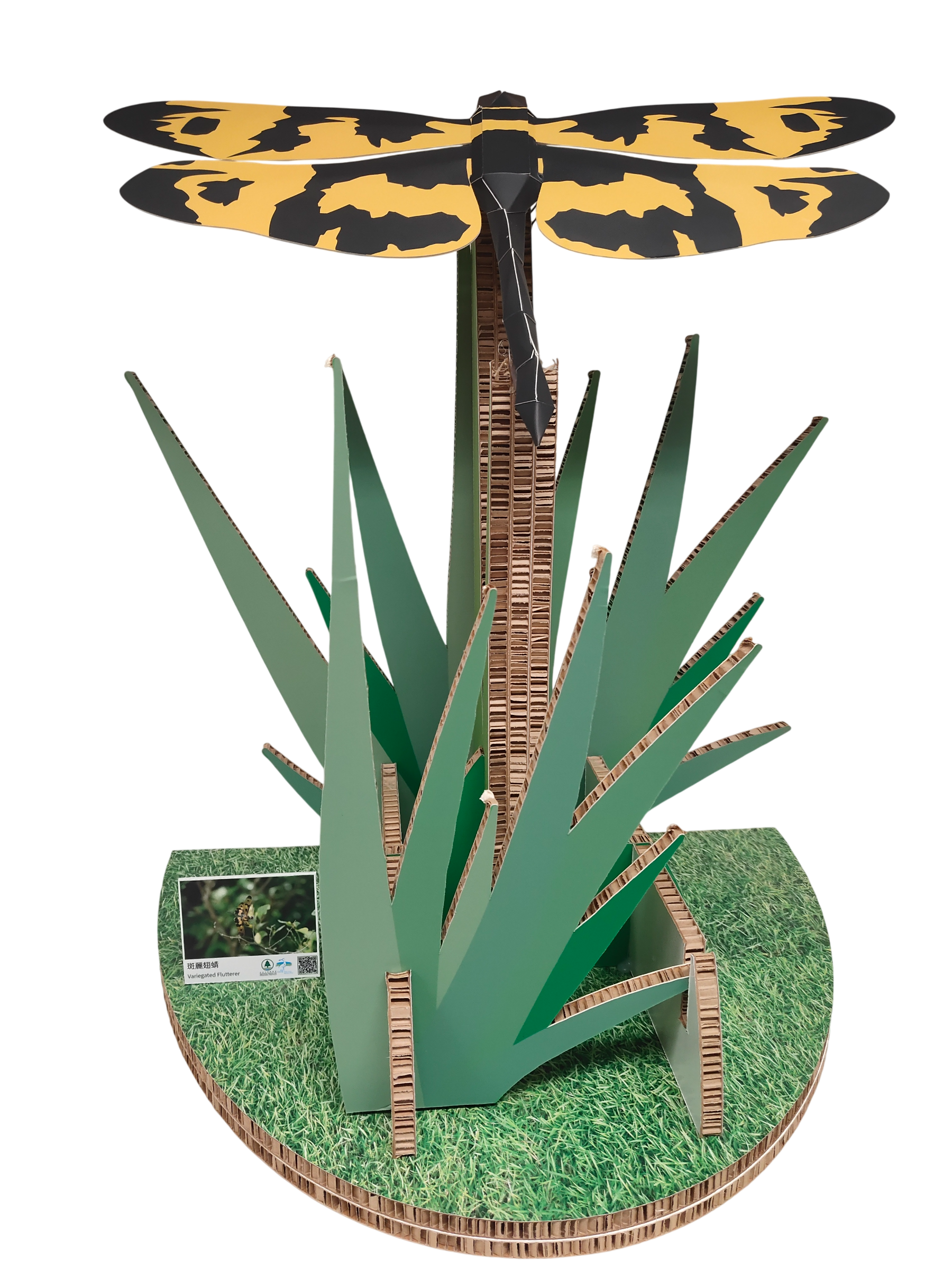 Wetland Geometric Cardboard Model - Variegated Flutterer