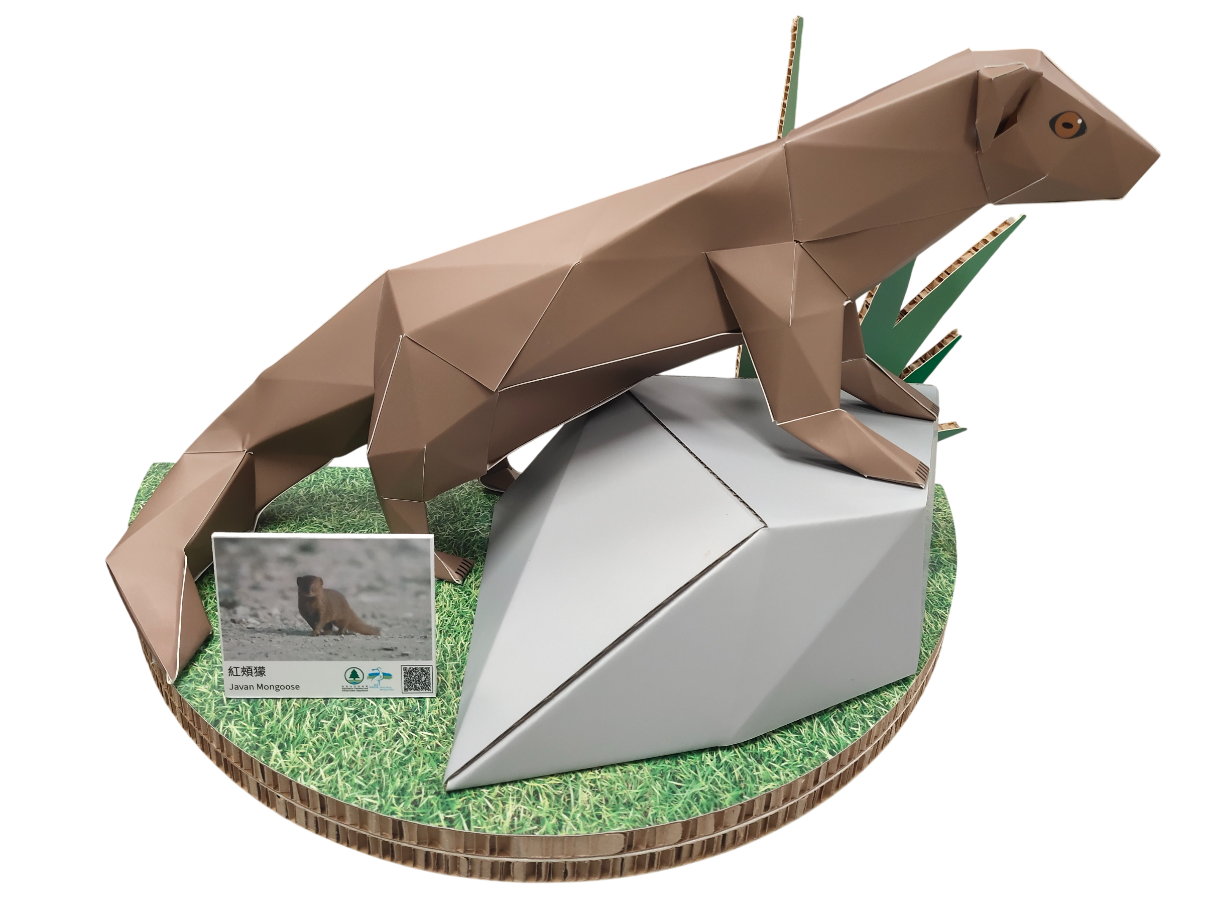 Wetland Geometric Cardboard Model - Small Asian Mongoose