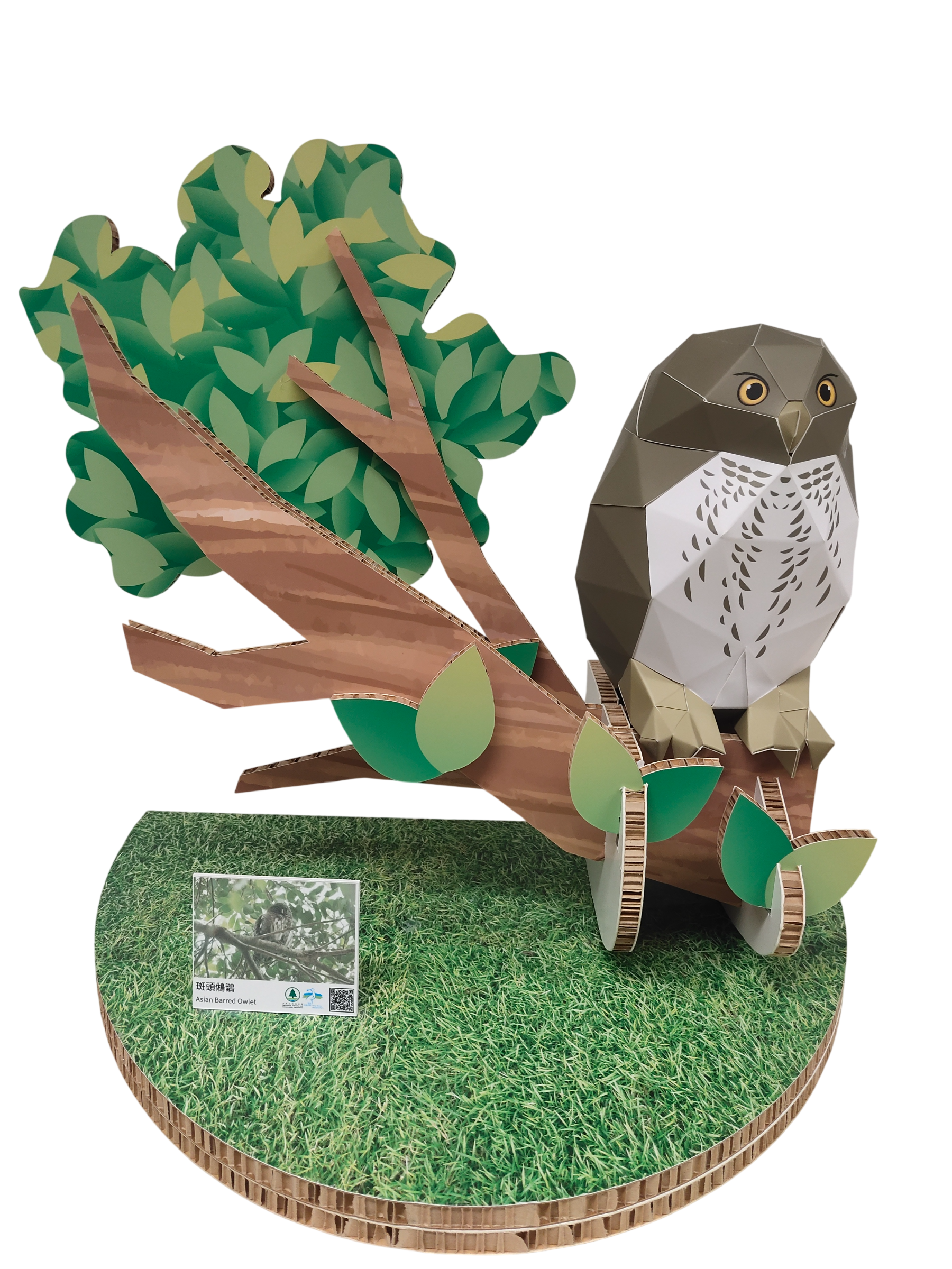 Wetland Geometric Cardboard Model - Small Asian Mongoose
