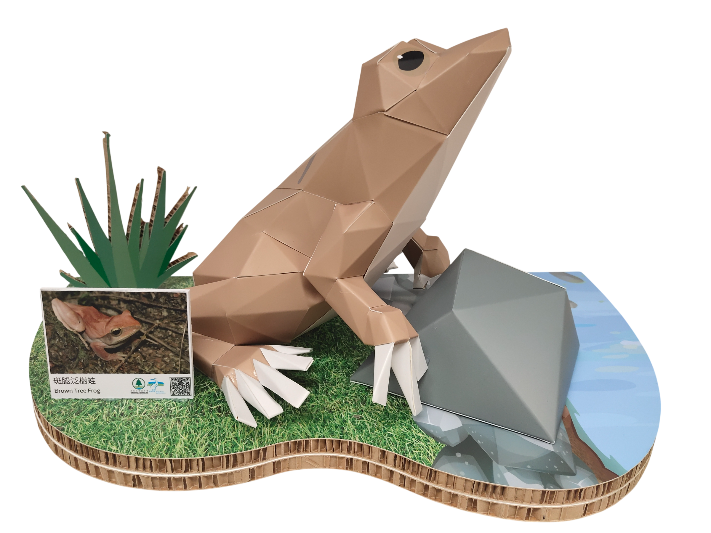 Wetland Geometric Cardboard Model - Small Asian Mongoose
